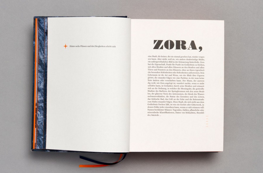 Charlotte Bräuer: Zora. Ein Entdeckerbuch