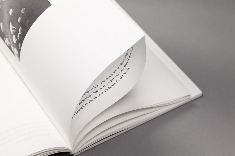 Louise Jessen: Fragmente. Eine assoziative Auseinandersetzung mi